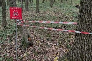 На Львівщині у лісах замість грибів знаходять снаряди