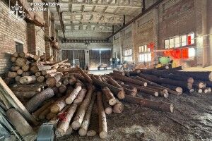 На Рівненщині власник пилорами «захищав» крадений ліс кулаками