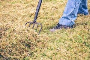На Рівненщині дядько спробував заколоти полісмена вилами