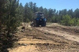 На Волині в полі знайшли розкидані рештки тварин