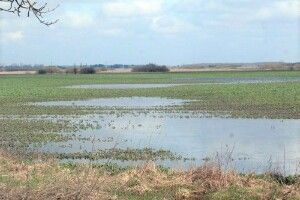 В Україні попередили про можливі підтоплення: чи під загрозою Волинь