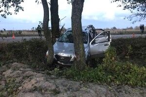 Не впорався із керуванням та врізався у дерево
