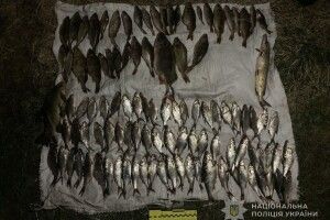 На волинському озері Добре рибалка наловив риби на майже пів мільйона