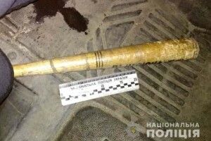На Костопільщині поліцейські затримали молодиків за розбійний напад на подружжя 