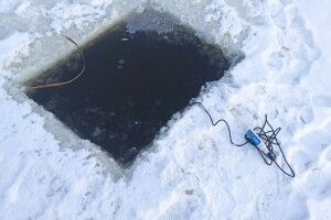 Пів сотні ополонок: у парку Луцька рятують рибу від зимової задухи (Фото)