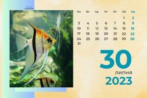 30 липня: яке сьогодні свято й що не можна робити