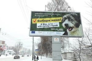 До влади у Луцьку рвуться хвостаті каністерапевти (фото)