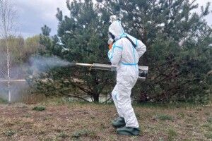 На Волині активізувалися кліщі: фахівці попереджають про ризики