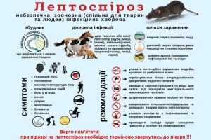 На Західній Україні у 65-річного рибалки через лептоспіроз відмовили нирки…