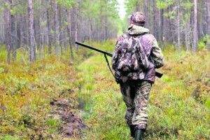 Кому на Волині роздали мисливські угіддя