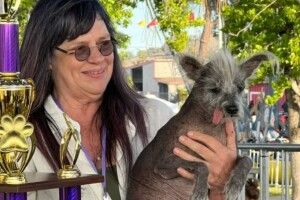 Визначили переможця «Найпотворніша собака у світі»