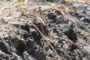 У Луцьку жителі кількох вулиць залишаться на місяць без гарячої води