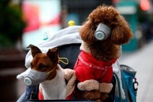 Погода на п'ятницю, 3 квітня: вночі 1-3º морозу, а вдень – 11-13° тепла