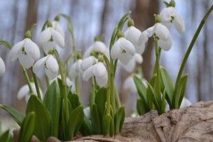 Якою буде погода на Волині в найближчі дні
