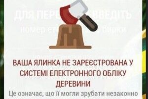 Де виросла ваша ялинка дізнаєтеся через телефон