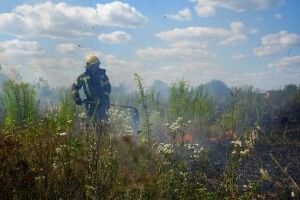Майже гектар у вогні: на Волині знову гасили пожежі сухої трави та чагарників 