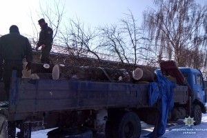 Автомобілем з підробленими документами хотіли вивезти волинську деревину