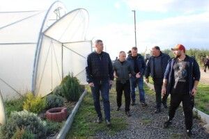 Волинська родина Щерблюків сплатила податків на понад 5 мільйонів