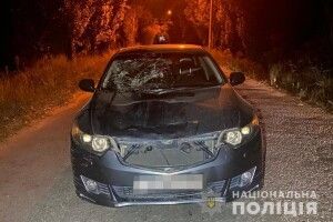 П'яний водій на іномарці збив подружжя з донькою 