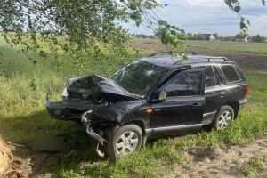 На Волині внаслідок двох аварій постраждали жінка та троє дітей - розпочато слідство (Фото)