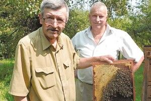 Офіцер–пенсіонер з Волині знає все про бджіл