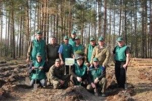  620 гектарів лісу висадили волиняни цього року (Відео)