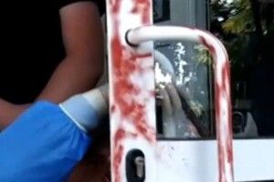 Затримали підозрюваного у вбивстві 21-річної аптекарки