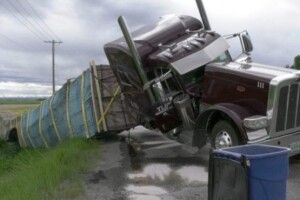 Вантажівка зі 130 мільйонами бджіл потрапила у ДТП