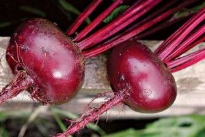 В Україні дефіцит столового буряку