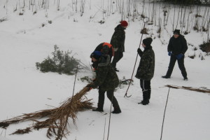 У Центральному парку Луцька рибу рятують від задухи