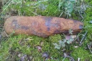 Мешканці Старовижівського району знайшли снаряди у лісосмузі