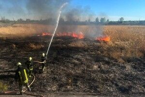 Палали чагарники та очерет: волинські вогнеборці приборкали 10 пожеж