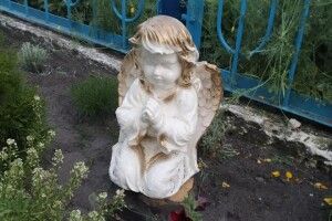 У волинському селі похвалилися, як заквітчали храм (Фото)