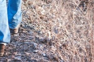Чоловік пройшов 40 тисяч кілометрів, щоб схуднути