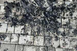 У Львові підпалили церкву Різдва Пресвятої Богородиці УГКЦ