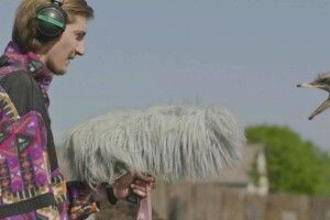 Оголошені учасники Нацвідбору на «Оскар» від України