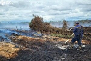 Понад півсотні рятувальників гасили пожежу торфу на Волині