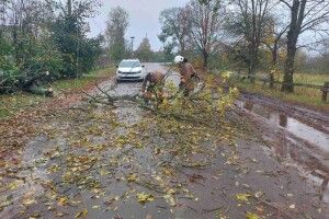Негода на Волині додала роботи рятувальникам
