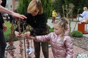 У Луцькому дитячому садку посадили Сад пам'яті загиблих від війни дітей
