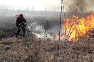 На Волині ліквідували 20 пожеж в екосистемах