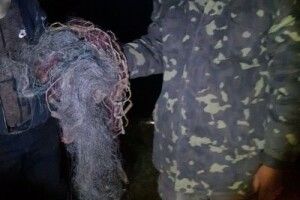Порушники завдали волинській природі збитків на майже 10 тисяч гривень