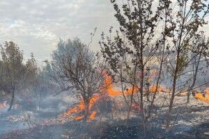 Чому поблизу обласного центру Волині валив великий дим