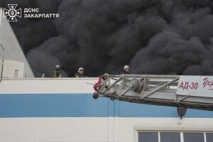 На Закарпатті масштабна пожежа на промисловому об'єкті