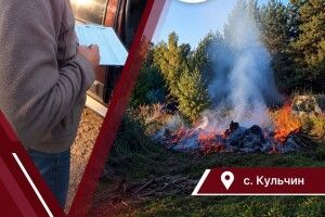 Замість чистоти – протокол: у селі біля Луцька затримали палія сухостою