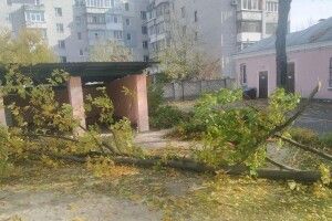Померла 4-річна дівчинка, на яку впало дерево в дитсадку 