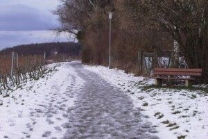Прогноз погоди на Волині на 13 грудня