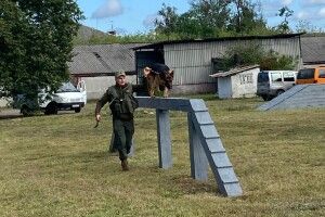 У колишньому райцентрі показали роботу унікальних собак Волині і Рівненщини