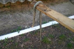 У Луцьку біля під’їзду багатоповерхівки зловили змію