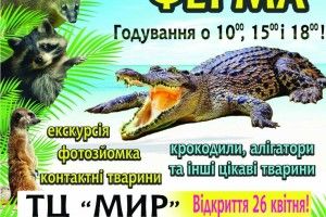 У Полтаві — крокодиляча ферма?