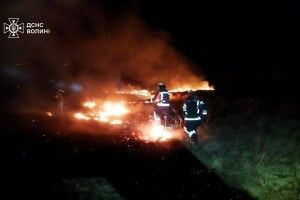 Гектари випаленої землі: на Волині екосистеми горіли у чотирьох громадах